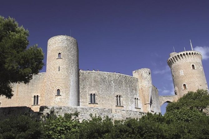 Palma De Mallorca Guided Tour With Hotel Pick up - Tips for a Great Experience