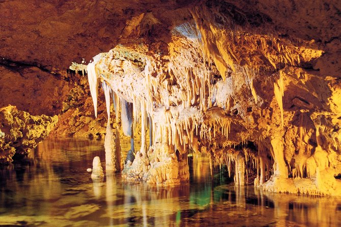 Palma De Mallorca Half-Day to Caves of Hams, Blue Cave and Film - Accessibility and Capacity