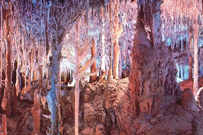 Palma De Mallorca Half-Day to Caves of Hams, Blue Cave and Film - Common Complaints