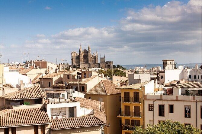 Palma de Mallorca Must-See Attractions Walking Tour With A Guide - A Detailed Look at the Itinerary