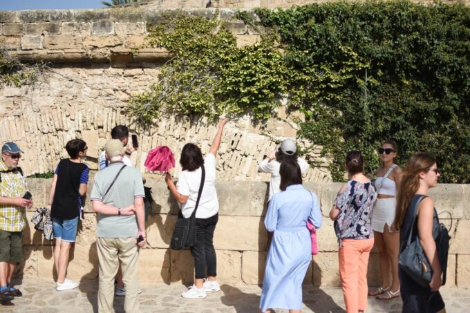 Palma De Mallorca: Old Town and Cathedral Tour - Cathedral Visit
