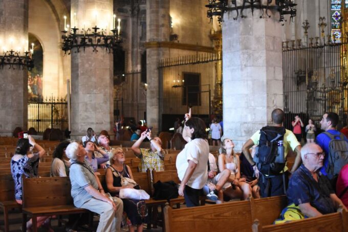 Palma De Mallorca: Old Town and Cathedral Tour - Guide Recommendations