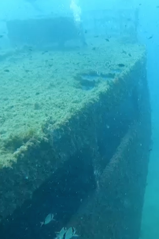 Palma De Mallorca: PADI Open Water Diver Course - Good To Know