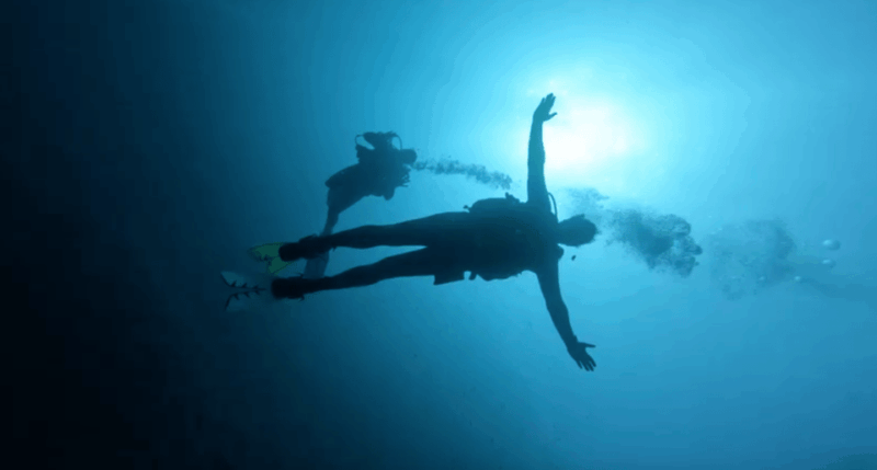 Palma De Mallorca: PADI Open Water Diver Course - Theoretical Options