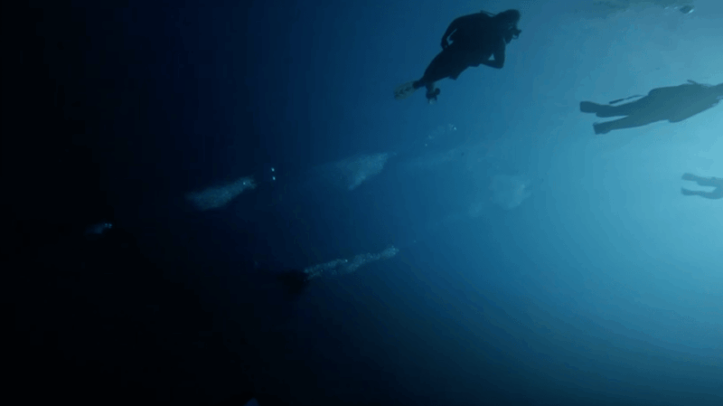 Palma De Mallorca: PADI Open Water Diver Course - Included in the Course