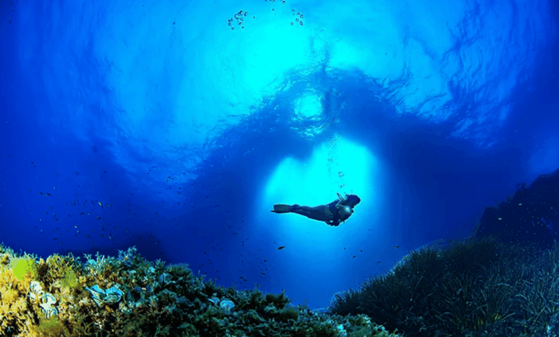 Palma De Mallorca: PADI Open Water Diver Course - Participant Requirements