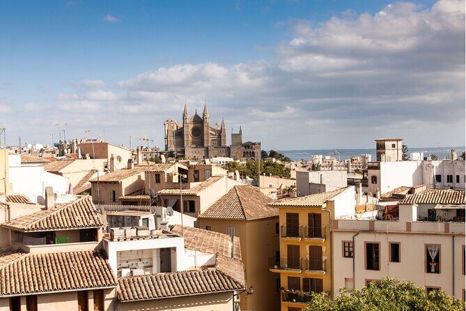 Palma de Mallorca : Private Custom Walking Tour with A Guide - A Deep Dive into the Palma de Mallorca Private Walking Tour