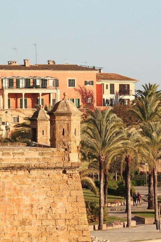 Palma De Mallorca Private Guided Walking Tour - Palmas Diverse History