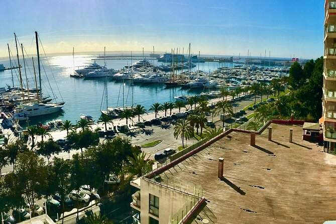 Palma De Mallorca Self-Guided Scavenger Hunt and Tour - User Feedback