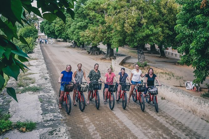 Palma De Mallorca Shore Excursion: Bike Tour With Cathedral and Parc De La Mar - Protective Gear and Accessibility