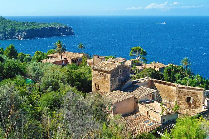 Palma de Mallorca Shore Excursion: Palma, Deia and Sa Foradada - Practical Tips for Travelers