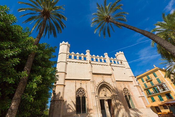 Palma De Mallorca Shore Excursion: Private Tour of Palma, Deia and Soller Valley - Transportation and Logistics