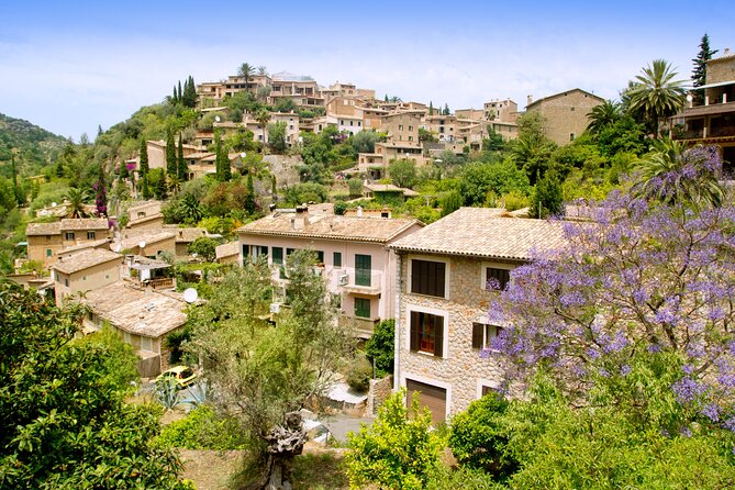 Palma De Mallorca Shore Excursion: Private Tour of Palma, Deia and Soller Valley - Reviews and Feedback