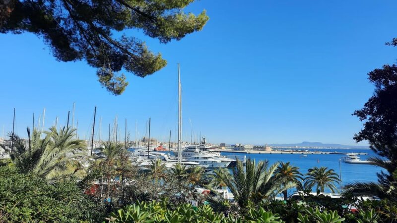 PALMA DE MALLORCA & SOLLER by TRAIN & CITY TOUR From PALMA - Important Information and Recommendations