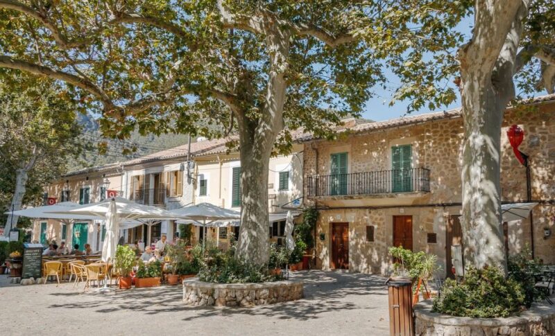 Palma De Mallorca: Son Juliana Wine Experience and Tasting - Key Points