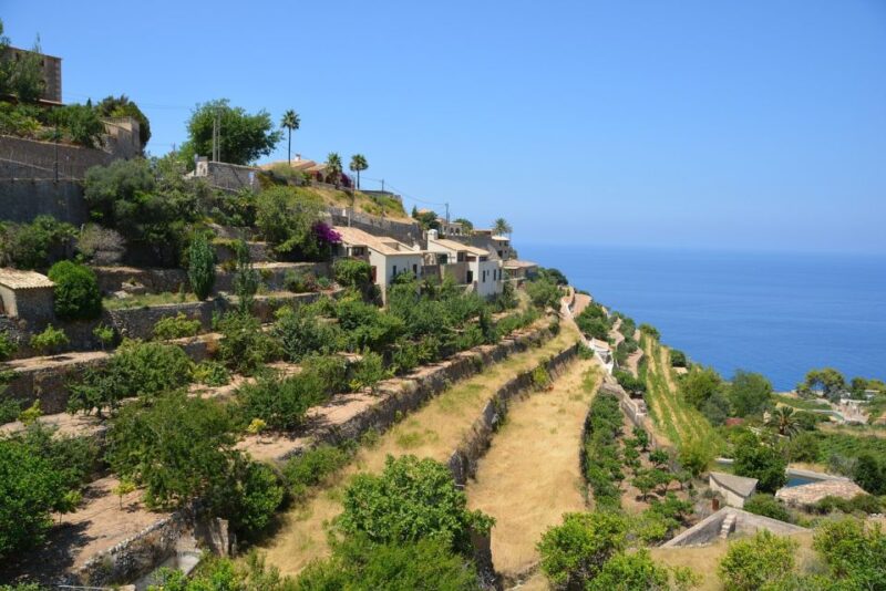 Palma De Mallorca: Son Juliana Wine Experience and Tasting - Exclusive Tasting of Mallorcan Wines