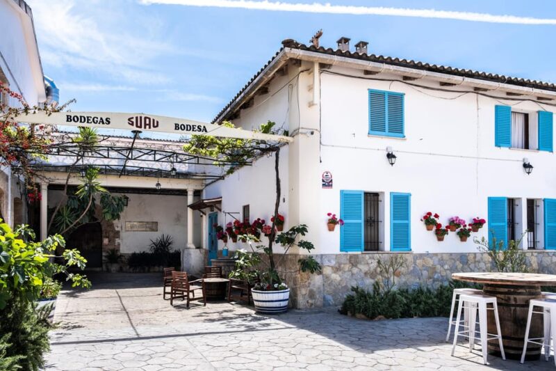 Palma: Distillery Tour With 3 Spirits and Tapas Tasting - Tasting Premium Brandies