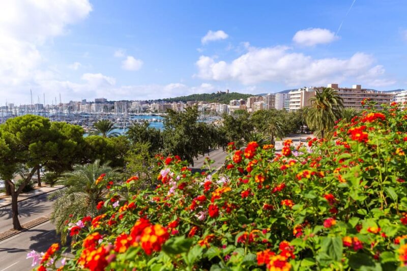 Palma: Express Walk With a Local in 60 Minutes - Booking Information