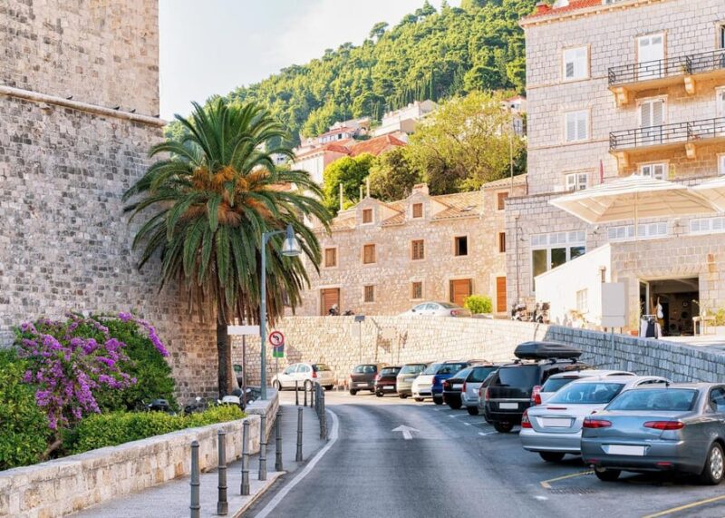 Palma: Express Walk With a Local in 60 Minutes - Tour Details