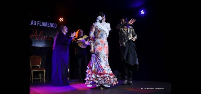 Palma: Flamenco Show at Tablao Flamenco Alma with Drink - What to Expect at the Flamenco Show