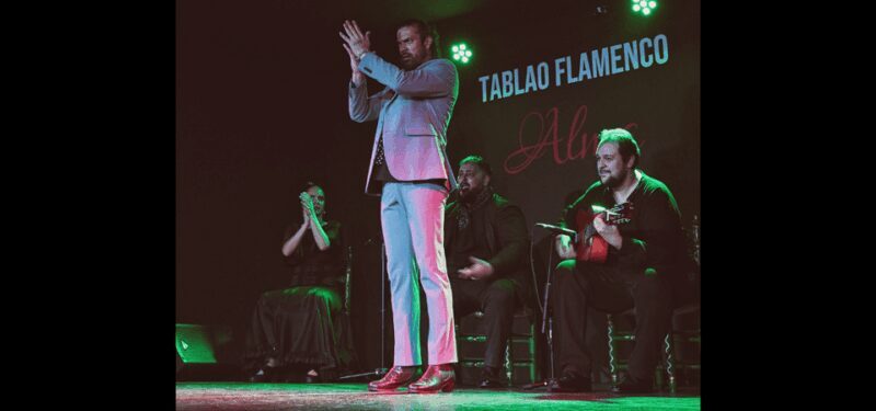 Palma: Flamenco Show at Tablao Flamenco Alma with Drink - Detailed Breakdown of the Experience