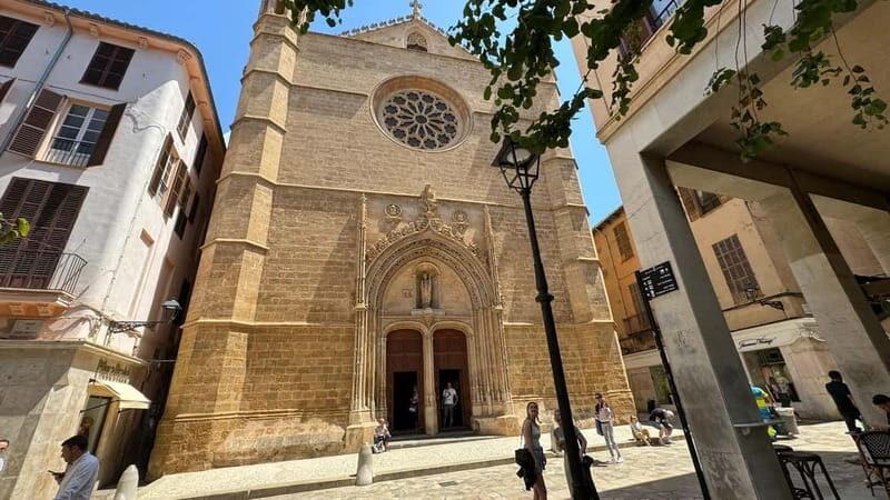 Palma in person and away from the crowds - An In-Depth Look at What to Expect