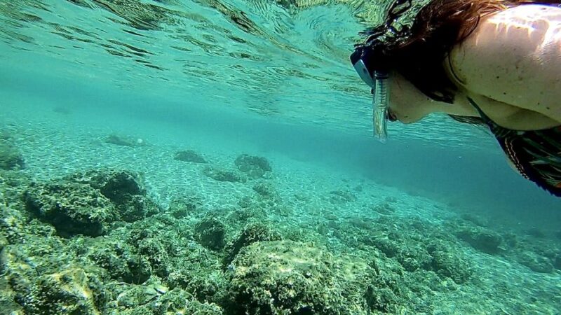 Palma: Private Boat Trip in Mallorca With Snorkeling - Relaxation and Optional Local Cuisine
