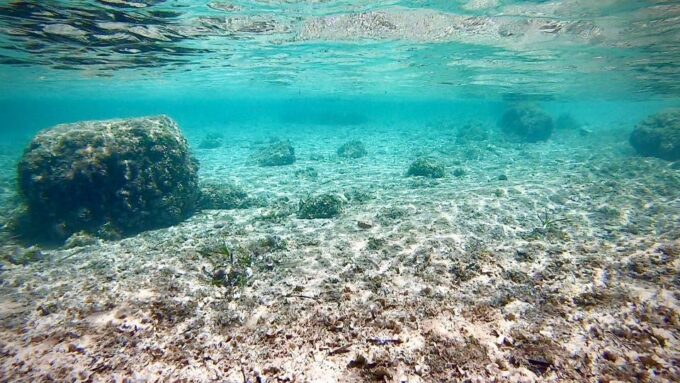 Palma: Private Boat Trip in Mallorca With Snorkeling - Frequently Asked Questions