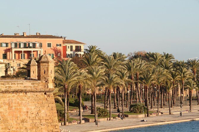 Palma - Private Historic Walking Tour - Who Will Love This Tour?