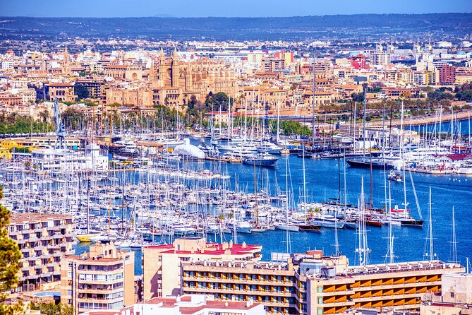 Palma Scavenger Hunt and Best Landmarks Self-Guided Tour - Booking and Cancellation Policies