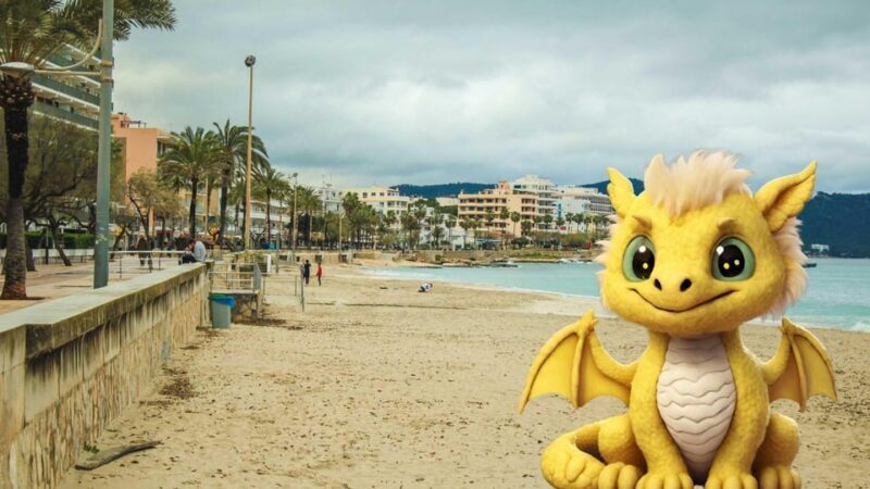 Palma: The Magical Creatures of Palma, exciting family game - Who Is This Tour Best Suited For?