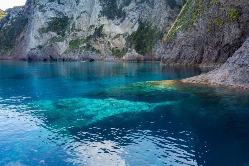 Palmarola Island Boat Tour With Pasta and Wine - Key Points