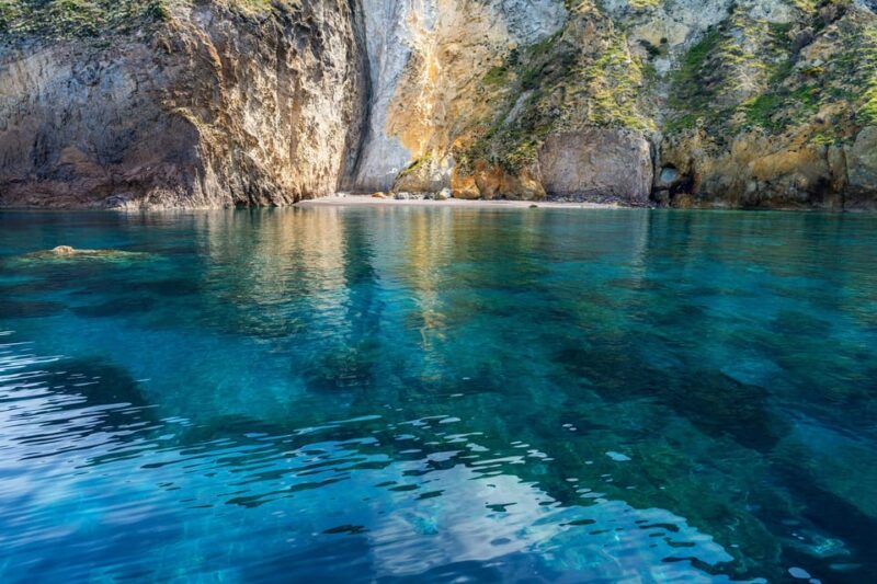 Palmarola Island Boat Tour With Pasta and Wine - Inclusions and Amenities