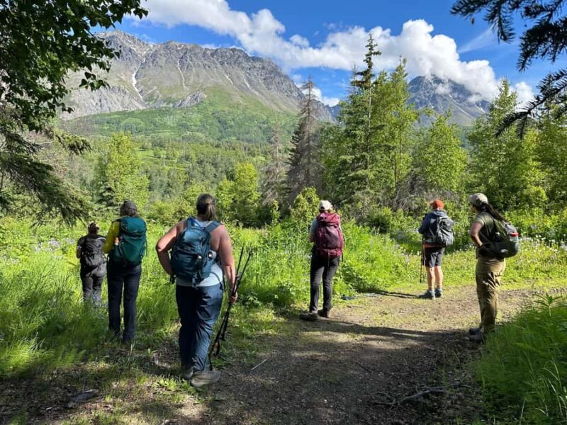 Palmer Hidden Waterfalls Guided Backcountry Hike - Authentic Experience with Expert Guides
