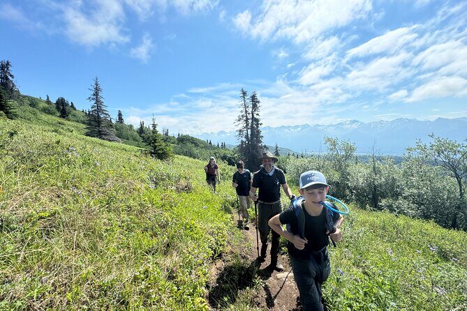 Palmer's Hidden Waterfalls: Full Day Hike - Who This Tour Is Perfect For