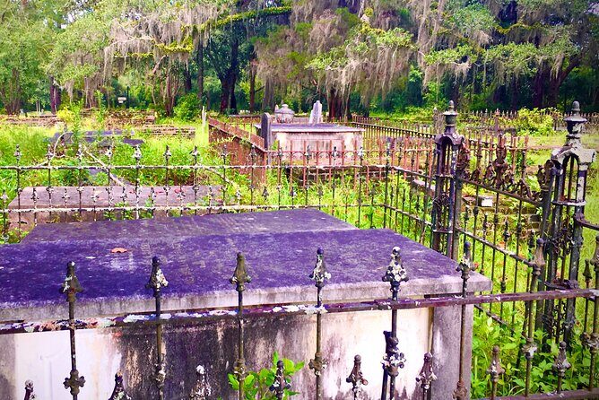 Palmetto Pioneers and Self Guided Monticello Walking Tour - Final Thoughts: Is This Tour Right for You?