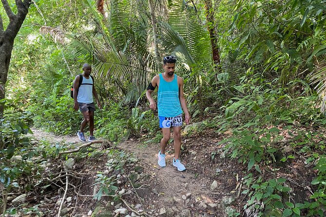 Palo María Waterfalls Hike Half-Day Tour - Traveler Reviews and Ratings