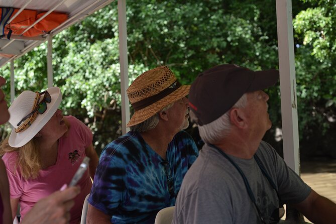 Palo Verde National Park River Safari Boat Tour - Scenic Drive Experience