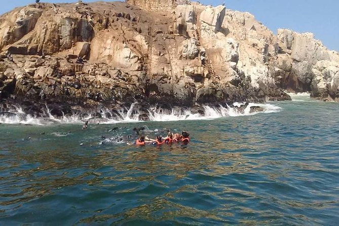 Palomino Islands Sea Lion Swimming Tour From Lima - Booking and Cancellation