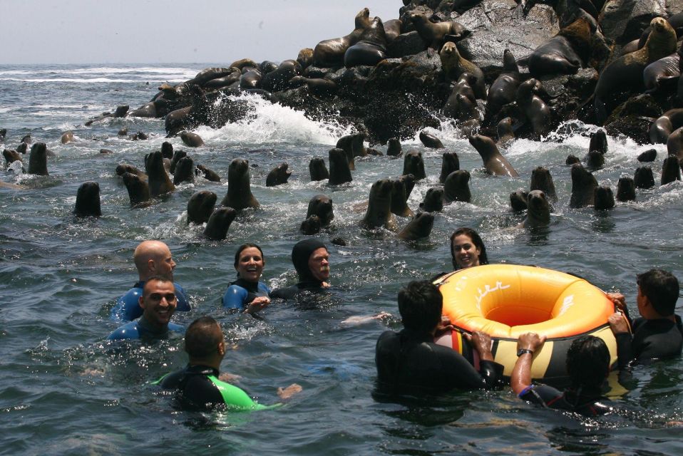 Palomino Islands Yacht Tour and Swim Alongside the Sea Lions - Visiting San Lorenzo Island