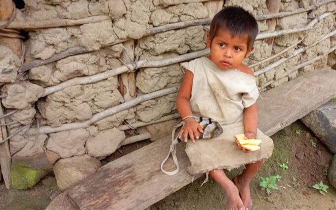 Palomino: Private Tour to Tungueka Indigenous Village - Accessibility Considerations