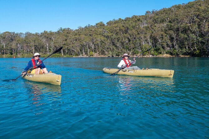 Pambula River Kayaking Tour - What to Expect in Terms of Physical Activity and Preparation