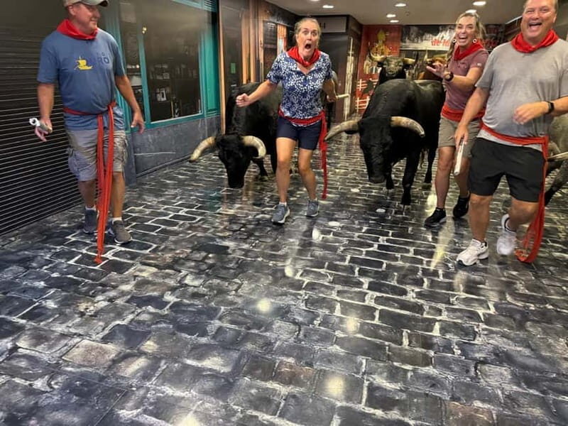 Pamplona: Walking Tour and Photo Session with Bulls - Key Points
