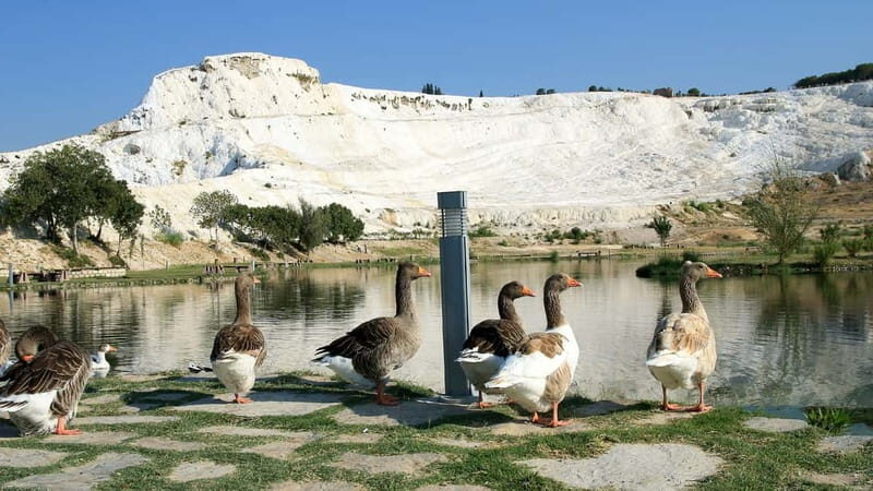 Pamukkale and Hierapolis: Full-Day Private or Group Tour - Authentic Travel Experience: Who Will Appreciate This Tour?