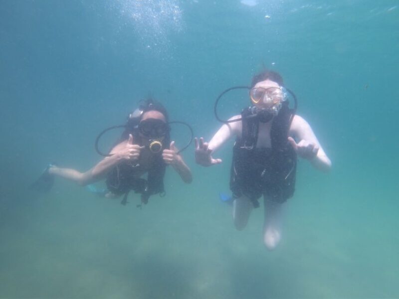 Panama City Beach: Beginners Scuba Diving Tour - Authentic Feedback from Participants