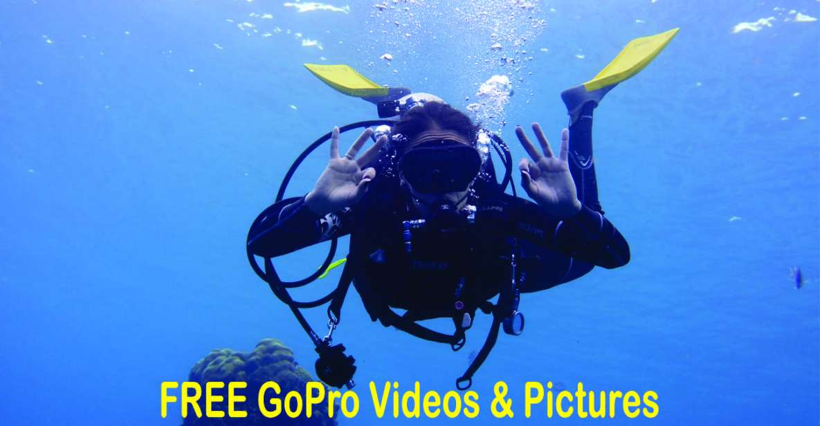 Panama City Beach: Beginners Scuba Diving Tour - Activity Description and Inclusions