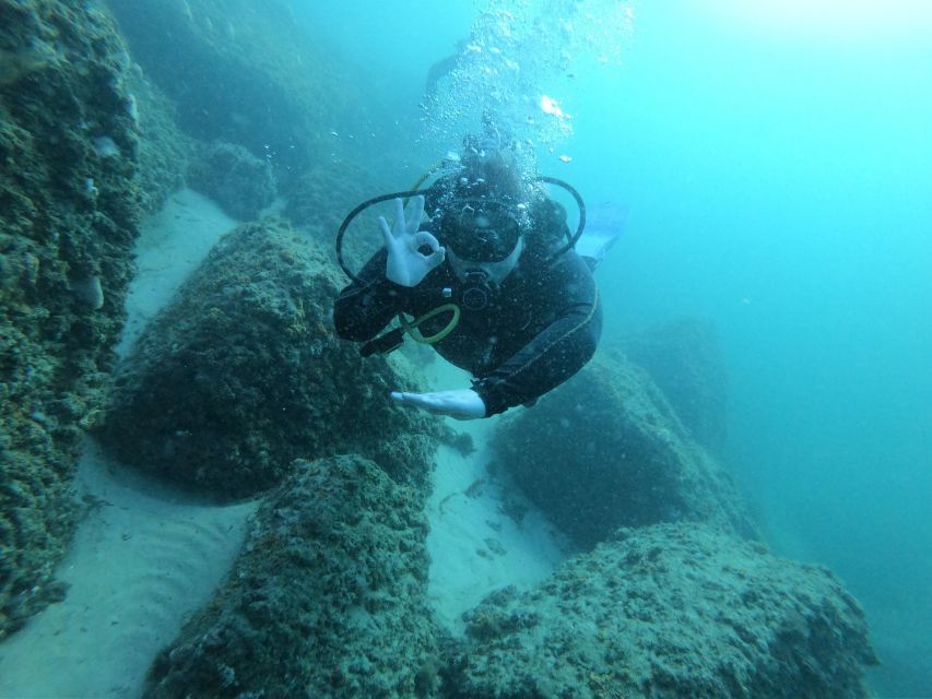 Panama City Beach: Beginners Scuba Diving Tour - What to Expect on the Tour