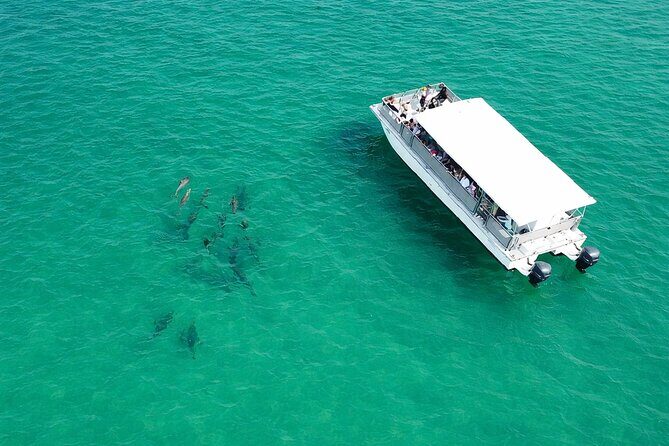 Panama City Beach Dolphin Cruise - The Sum Up