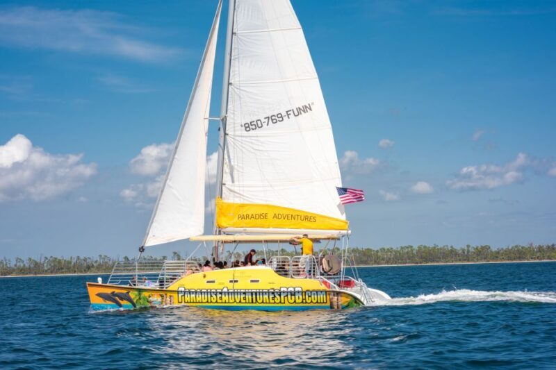 Panama City Beach: Dolphin Sightseeing Trip by Catamaran - What Makes This Trip Stand Out?