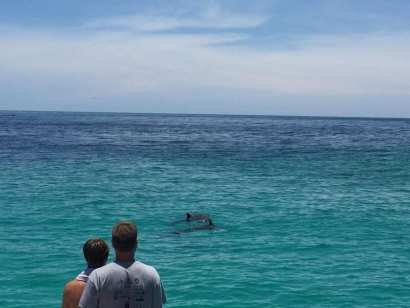 Panama City Beach: Dolphin Sightseeing Trip by Catamaran - Final Thoughts